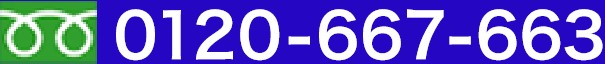0120 - 667 - 663